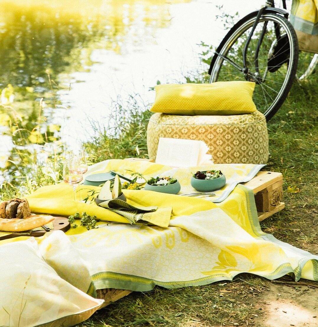 L'histoire du pique-nique